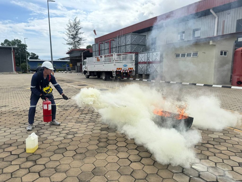 photo_6122728467934678497_y